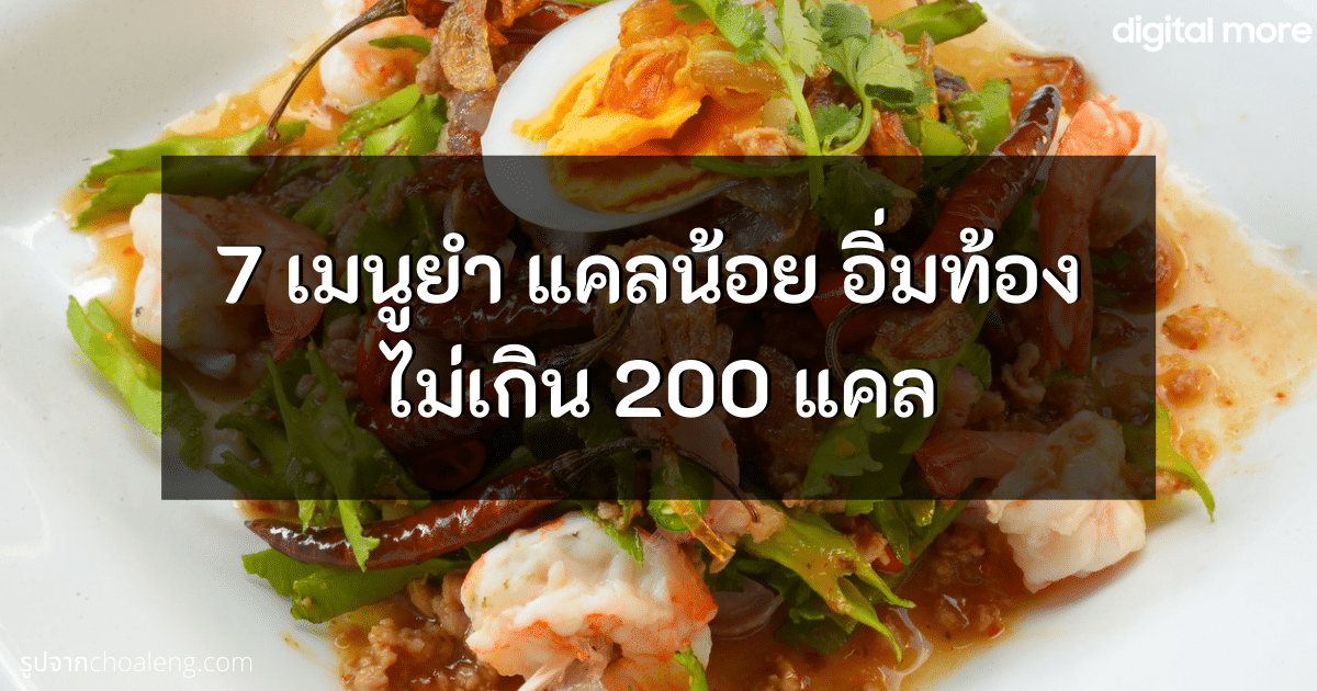 ยําวุ้นเส้น กี่แคล ? 7 เมนูยำ แคลน้อย อิ่มท้อง ไม่เกิน 200 แคล  กินแล้วไม่อ้วน! - Uma Thailand Blog