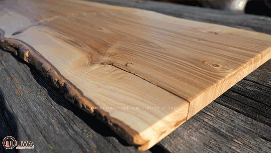 Gỗ tần bì là gì? Giá trị của gỗ tần bì trong cuộc sống, , Chất liệu, Tin Tức