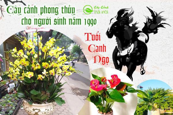 tuổi canh ngọ 1990 hợp cây gì? |10 cây đón tài lộc, may mắn nhất, , Cây nội thất, Phong thủy và Nội thất