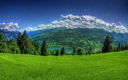 Sưu tầm: Tìm hiểu 117+ hình nền cánh đồng cỏ xanh hay nhất, , Khám phá