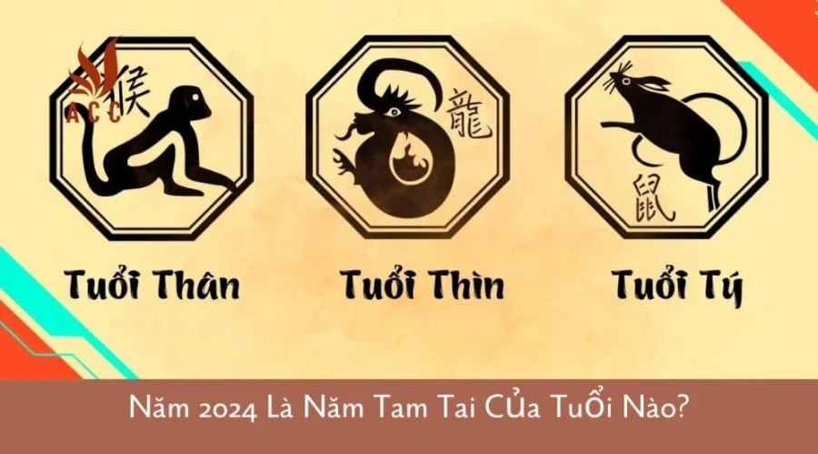 Cập nhật 2024: 3 tuổi vướng Tam Tai "cày cuốc" như trâu vẫn nợ, 1 tuổi ngồi không cũng hưởng giàu 2024, , Phong thủy và Nội thất