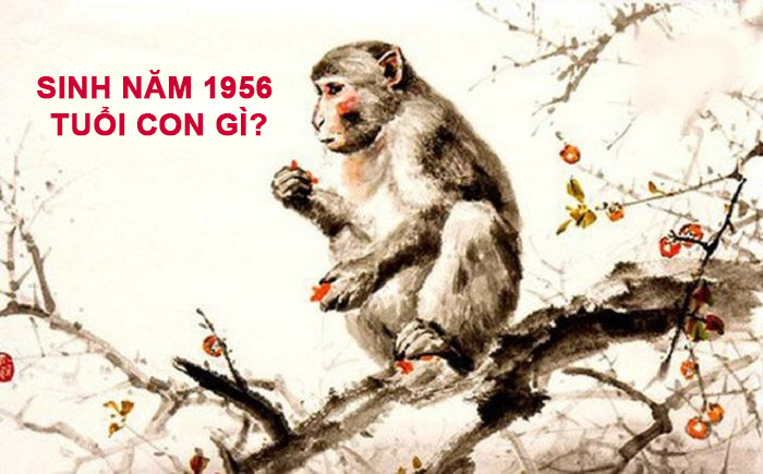 Người sinh vào năm Bính Thân 1956 mệnh tuổi Thân – Khỉ